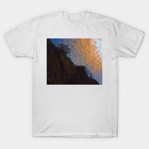 diagonal T-Shirt by jmpznz